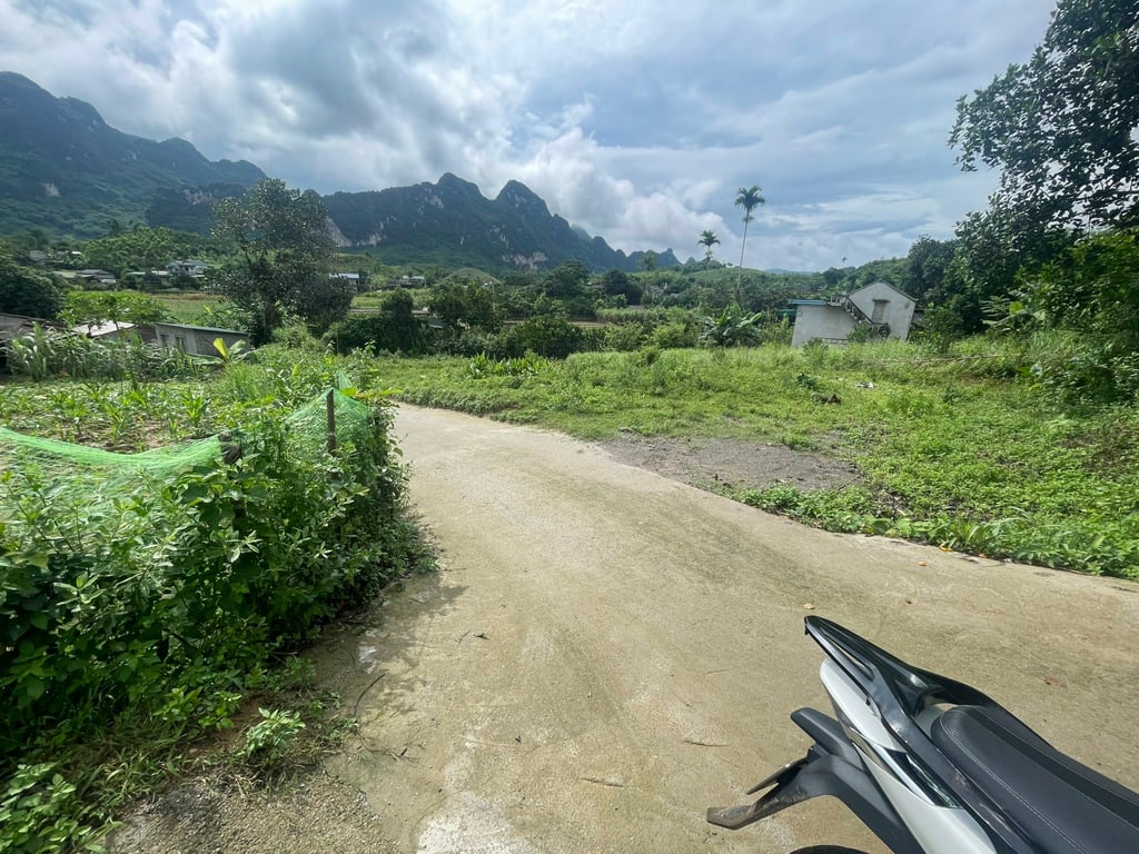 340m2 full thổ cư tại Bắc Phong, Cao Phong, HB