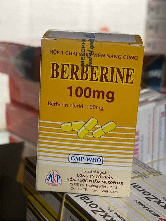Berberin 100 c/100v meko