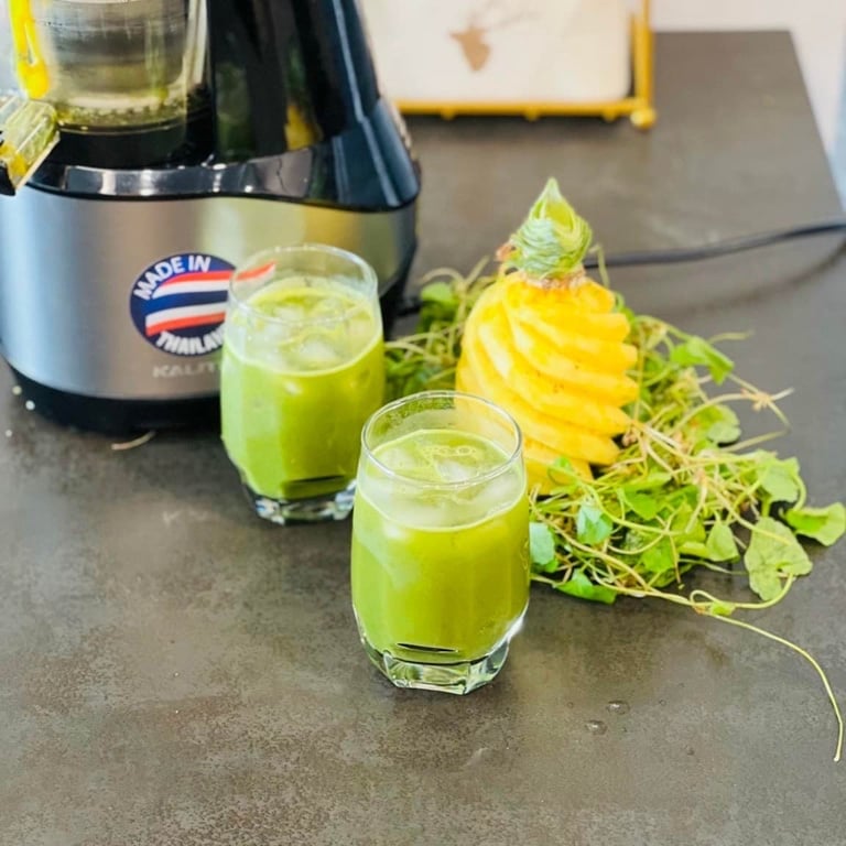 Máy ép chậm kalite kl 599