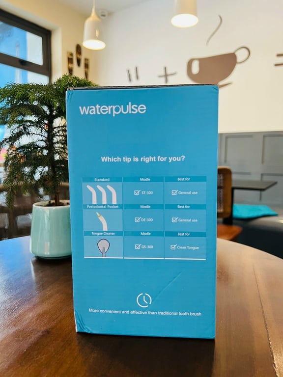 TĂM NƯỚC WATERPULSE V300