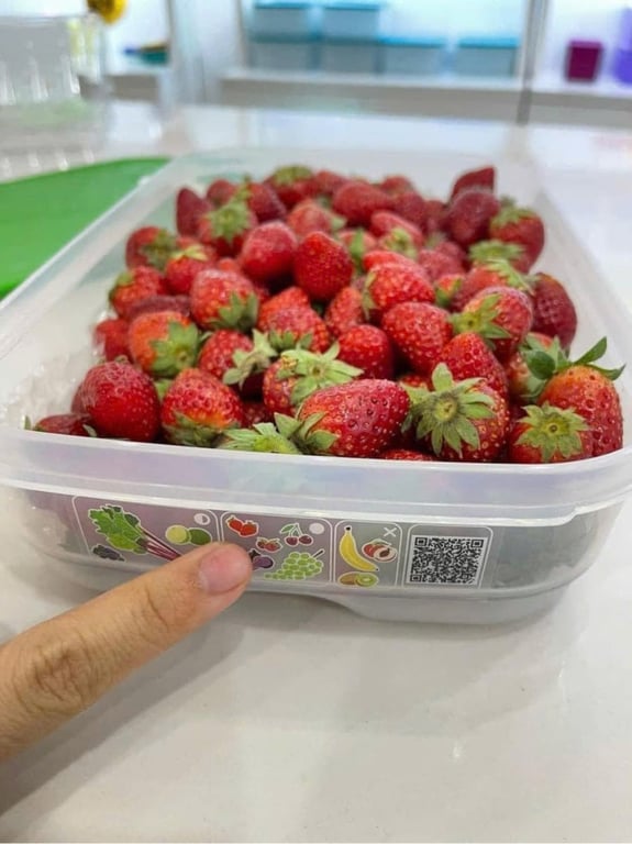 Set 2 Hộp vent 1.8L đỉnh cao trữ rau