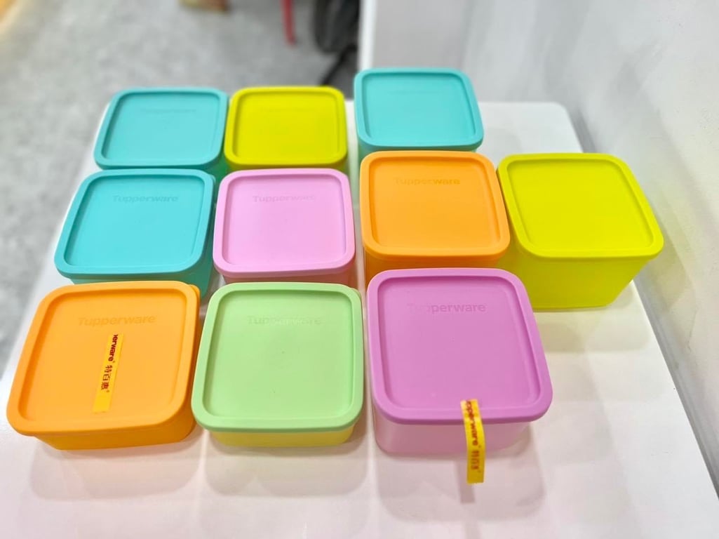 Set 10 hộp Tupper ware ngăn mát cao cấp