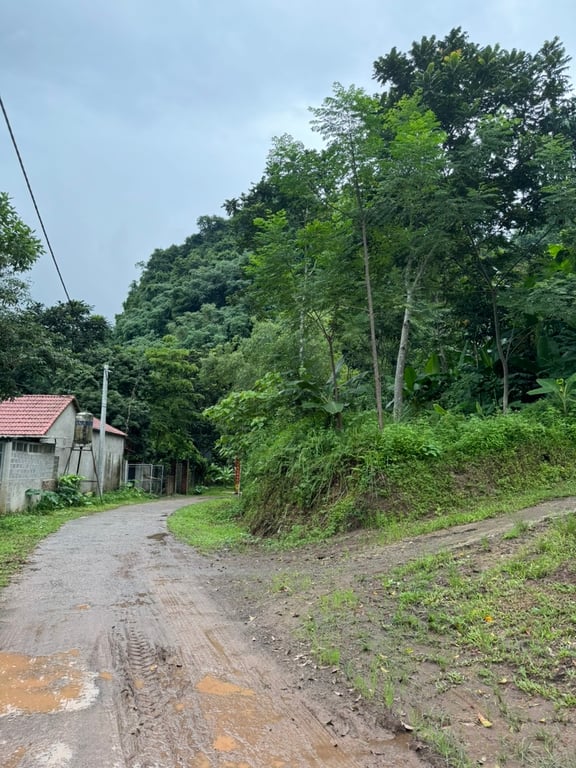 Diện tích 400m2 có 345m2 ONT  tại Gia Mô, Tân Lạc, Hòa Bình