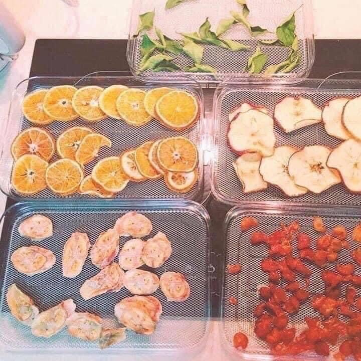 Máy Sấy Thực Phẩm Wmf Kuchenminis Dorrautomat