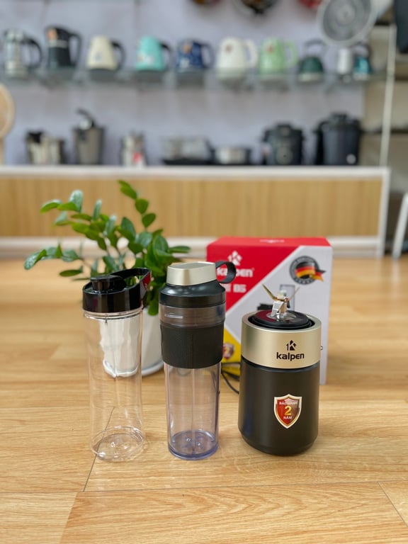 MÁY XAY SINH TỐ CAO CẤP KALPEN B6