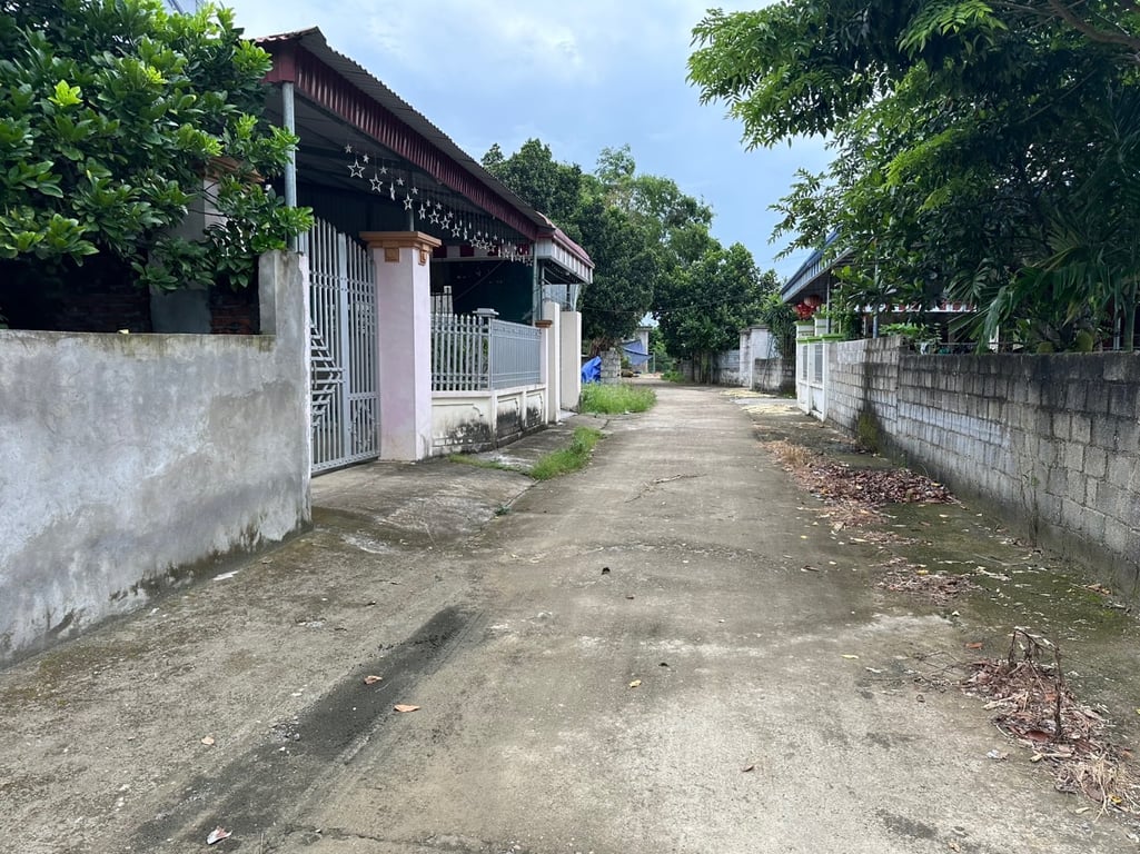 798m2 có 400m2 thổ cư tại Phú Thành, Lạc Thuỷ, Hoà Bình