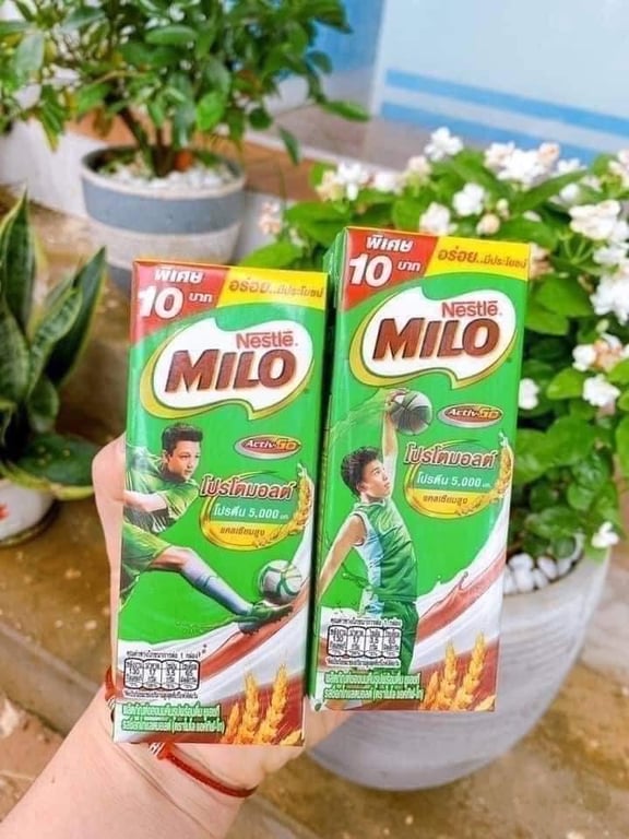 Sữa milo uống thái lan thùng 48 hộp*180ml