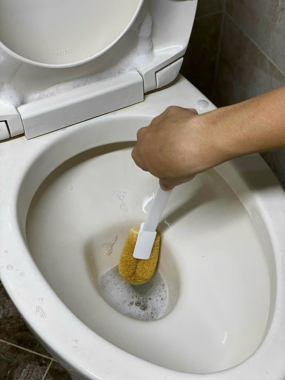 Chổi cọ toilet xơ dừa Towa Nhật Bản