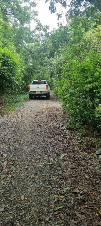 Phú Vinh, Tân Lạc, Hòa Bình. 1019m2