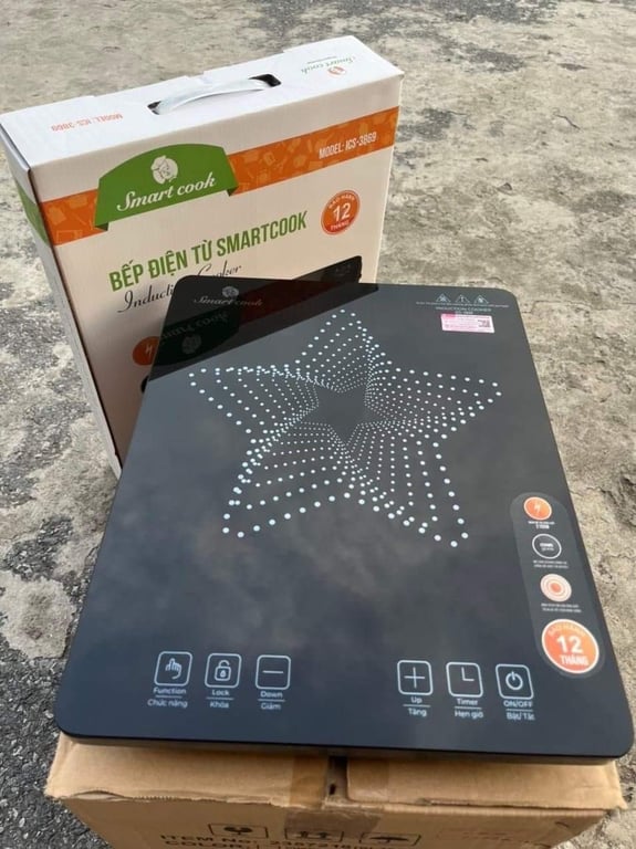 bếp từ Smartcook Elmich ICS-3869