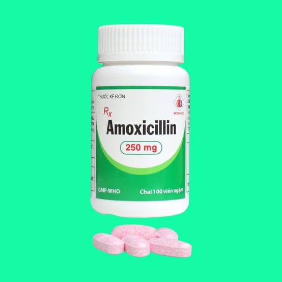 Amoxicillin 250 dmc ngọt c/100v