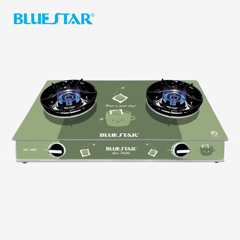 Bếp gas NG-4780