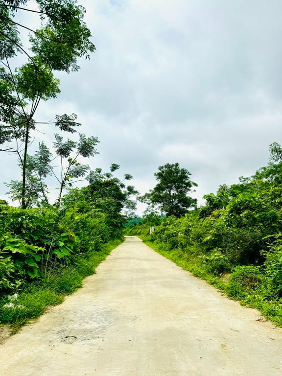 Tú Lý, Đà Bắc, Hoà Bình(1195m2)