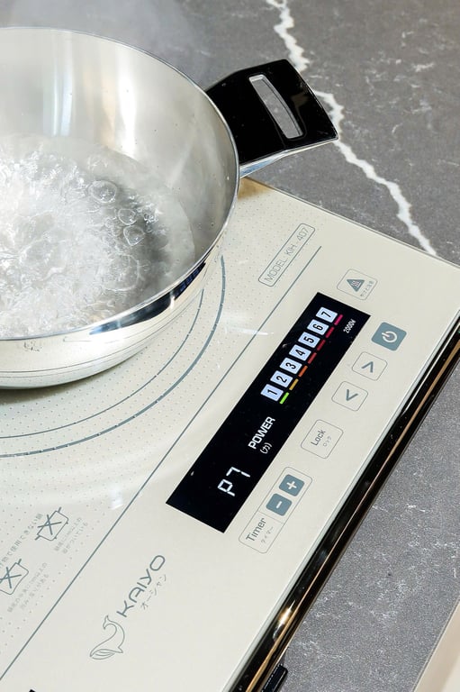 Bếp từ đôi lõi đồng Kaiyo (KIH-407)