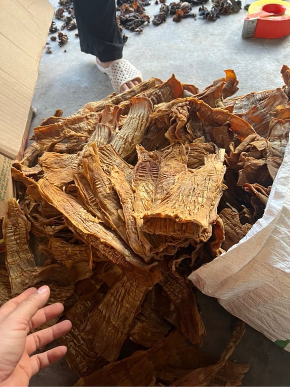 Măng mầm Điện Biên