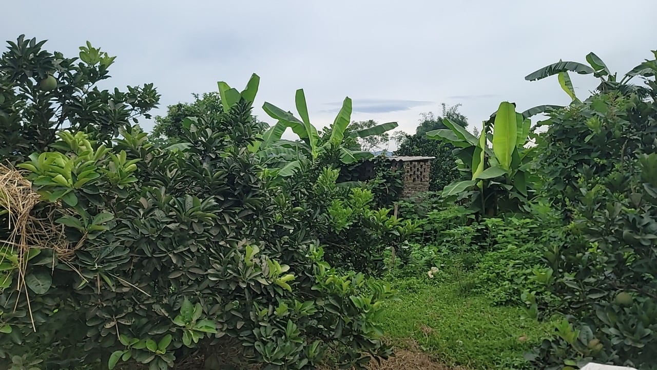 350m2 tại Thị trấn mãn Đức Tân Lạc, Hoà Bình