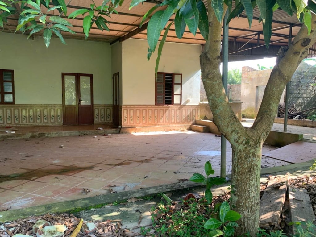 Diện tích 1891m2 có 537m2 thổ cư tại Bắc Phong, Cao Phong