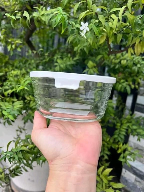 set 5 hộp thuỷ tinh kiêm khay nướng Lock&Lock 540ml