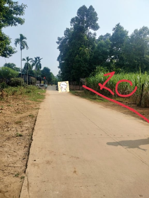 424m2 tại 111m2 ONT Tại Phú Lương, Lạc Sơn, Hoà Bình