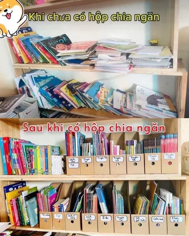 Set 5 hộp CHIA NGĂN PHÂN LOẠI SÁCH