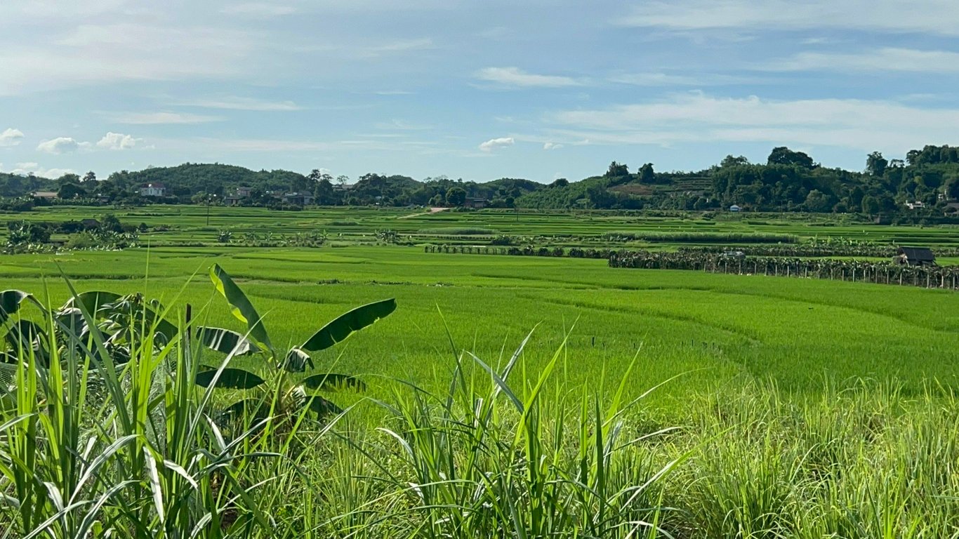 Lô đất 304m2 có 200m2 thổ cư tại Tân Lạc, Hoà Bình chỉ 299tr