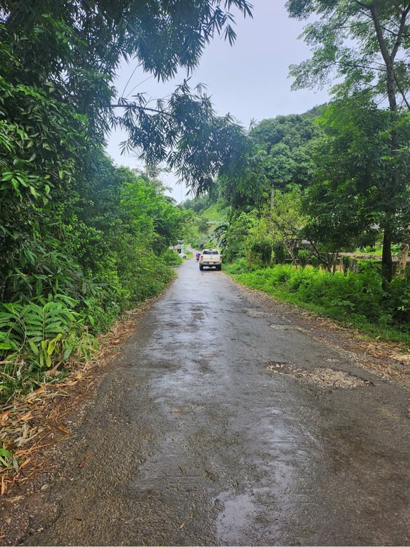 Diện tích 611m2, 80m2 ONT, tặng thêm sổ đất lúa Tại Phú Cường, Tân Lạc, Hòa Bình