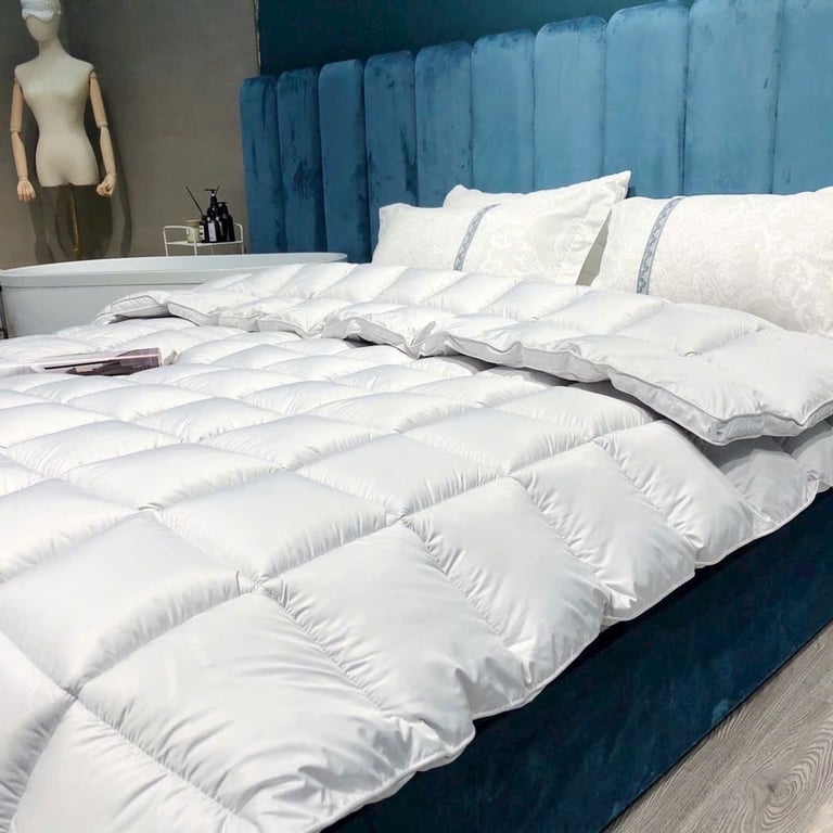 RUỘT CHĂN LÔNG VŨ HILTON NEW 2023