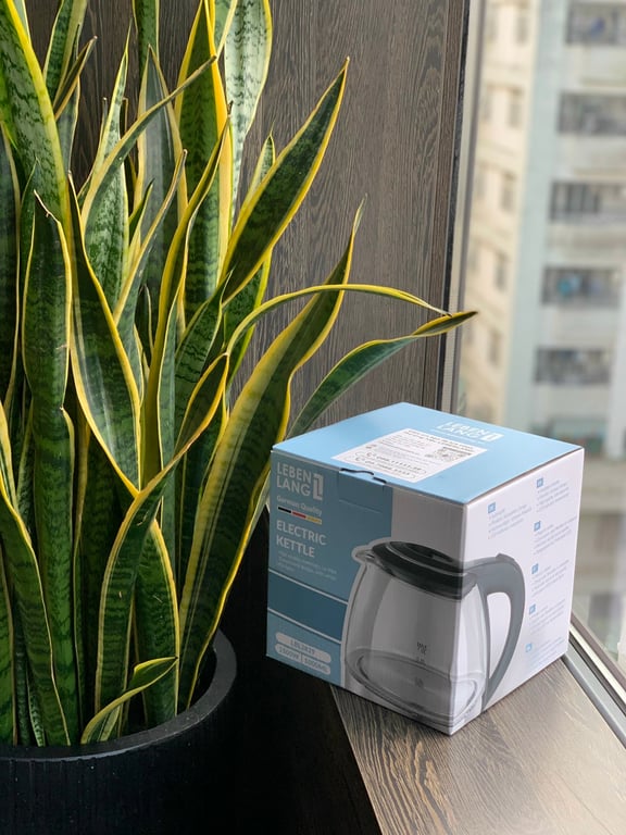 Ấm siêu tốc thủy tinh Lebenlang LBL2829 dung tích 1L