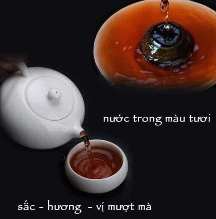 TRÀ QUÝT PHỔ NHĨ Ủ 8 NĂM QUÝ GIÁ VÂN NAM‼️MC45