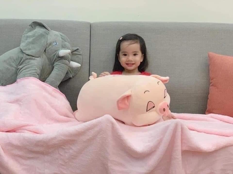 BỘ GỐI LỢN KÈM CHĂN SIÊU MỀM MỊN TO ĐẸP DỄ THƯƠNG