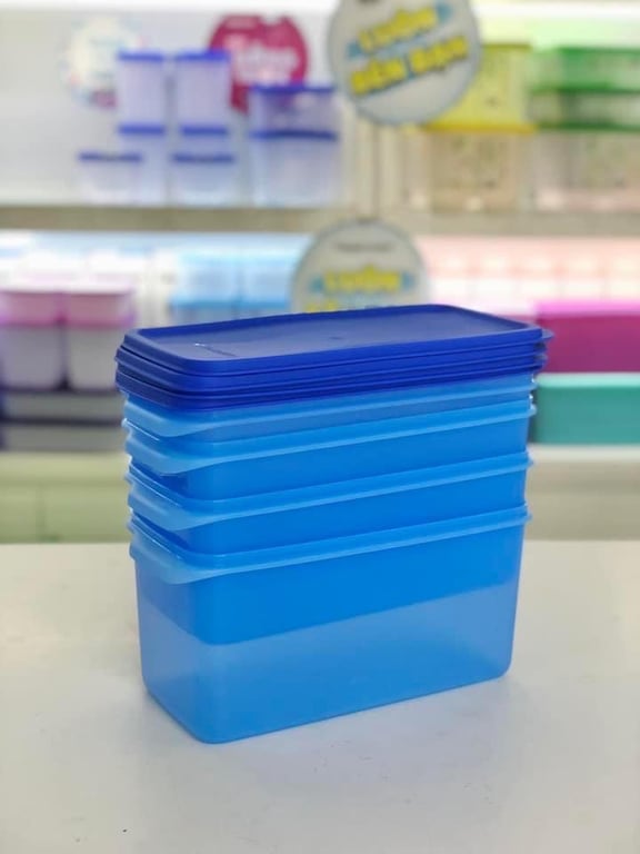 Tách set 4 hộp trữ mát mega