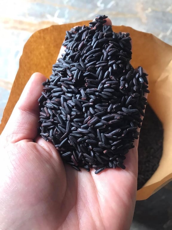 Gạo lứt than đen - gạo tươi hagagol