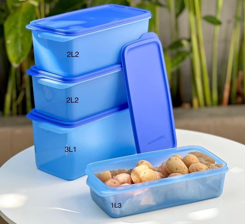 Tách set 4 hộp trữ mát mega