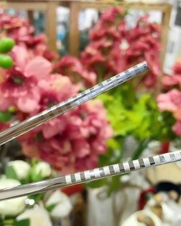 Set 5 đôi đũa inox 304 Nhật Bản mẫu trơn ST1191