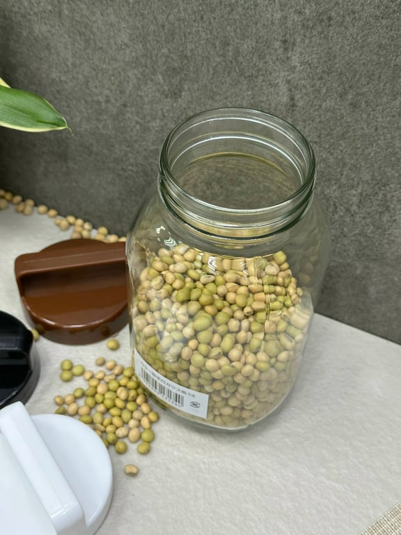 LỌ THỦY TINH CÓ QUAI XÁCH ECHO 1L