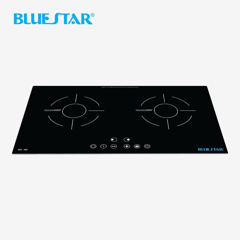 Bếp đôi điện âm NG-02I