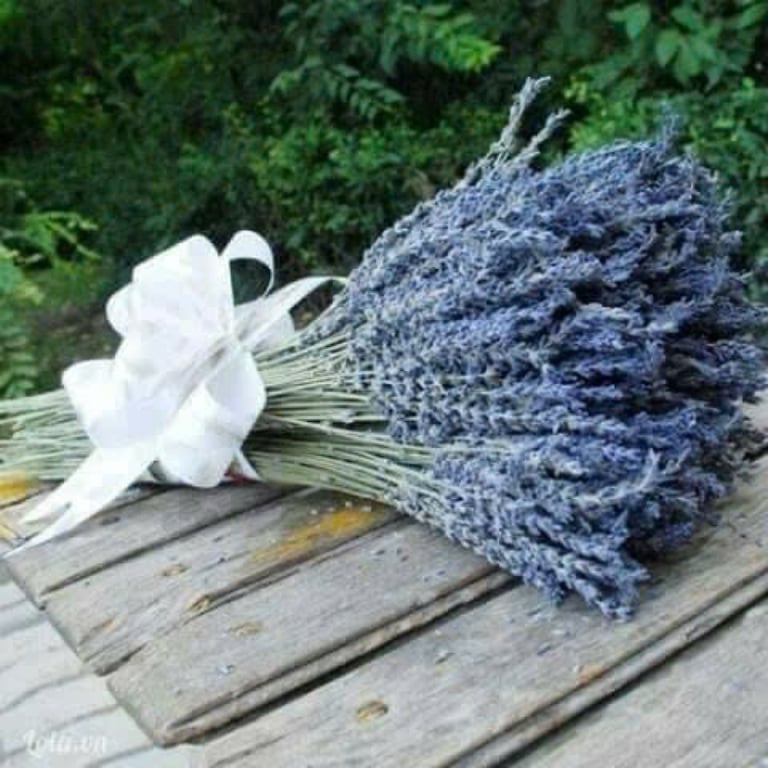 6 TÚI THƠM LAVENDER