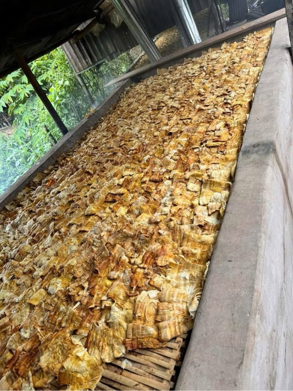 Măng nứa khô Điện Biên