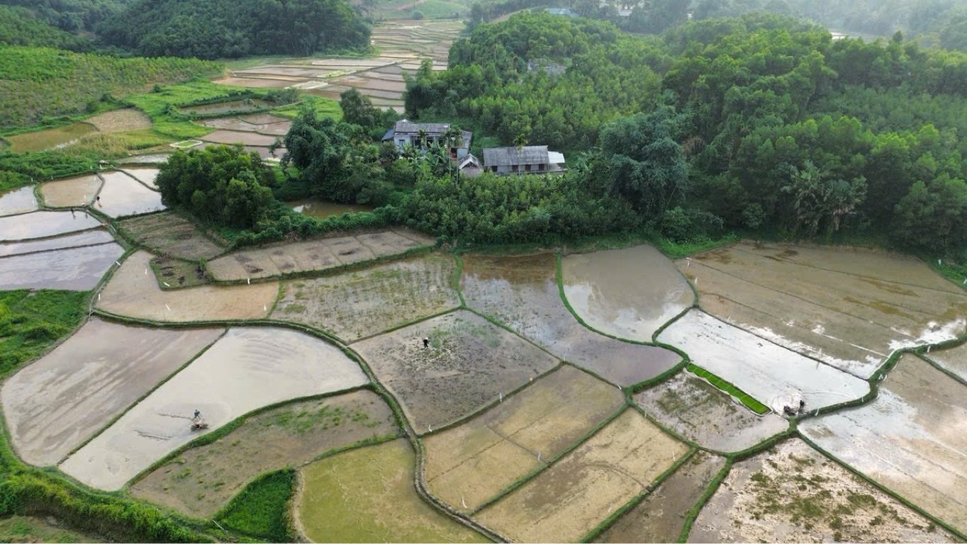 Cả nhà và đất và Ao cá diện tích 2.730m2. Thổ cư 300m2. Vườn 2.430m2 tại Yên Lập, Phú Thọ