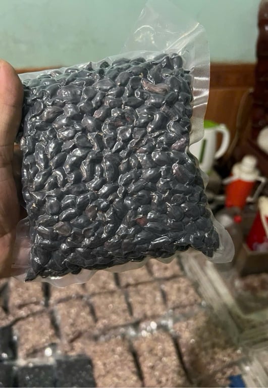 Lạc đen nương Điện Biên