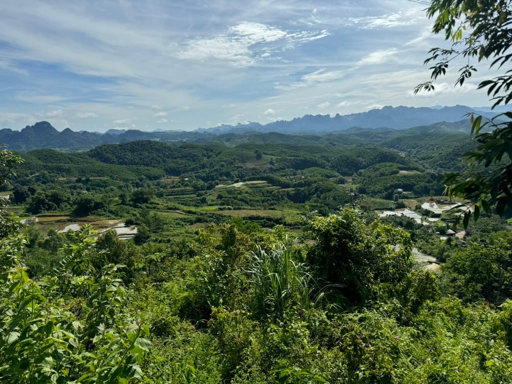 1127m2 thực tế hơn 1300m2 có 400m2 ONT tại Phú Cường, Tân Lạc, Hoà Bình