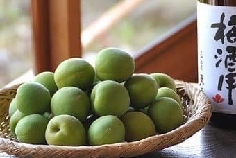 Rượu mơ Choya Kishu Nhật Bản 720 ml