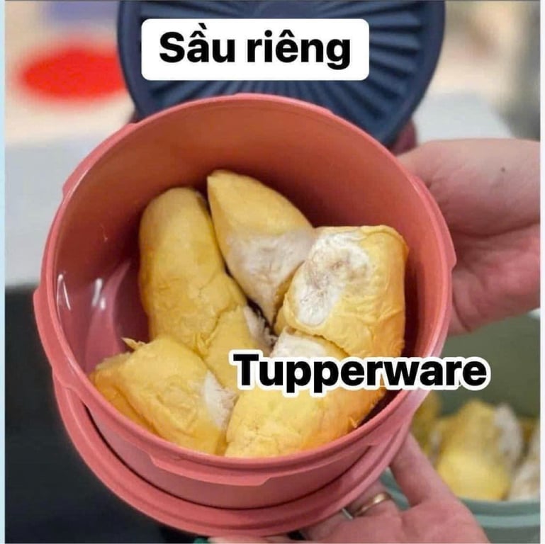 TUP07 - Bộ 5 hộp bảo quản thực phẩm Tupperware Midi Deco, dung tích 5x1Lit