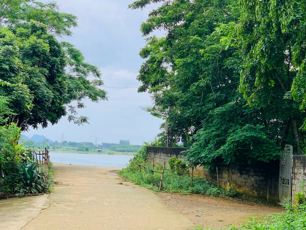 Lạc Thịnh, Yên Thủy, Hoà Bình ( hơn 300m2 full thổ cư)