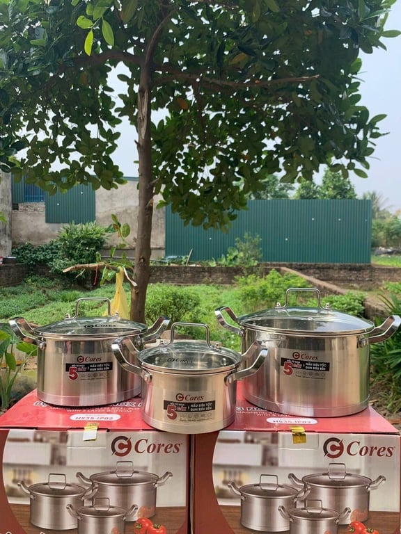 Bộ Nồi INOX 3 Món Đáy 5 Lớp Cores HS35-IP02 Chính Hãng