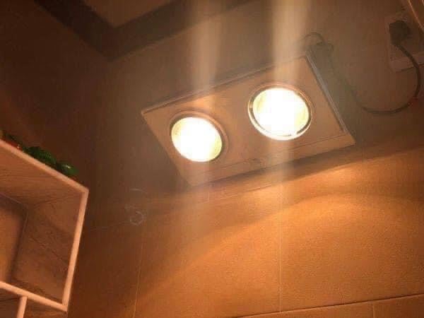 ĐÈN SƯỞI 2 BÓNG BORG BRAUN BU02