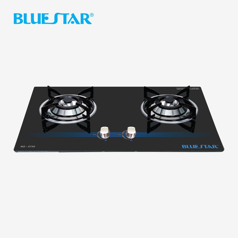 Bếp đôi âm NG-6750