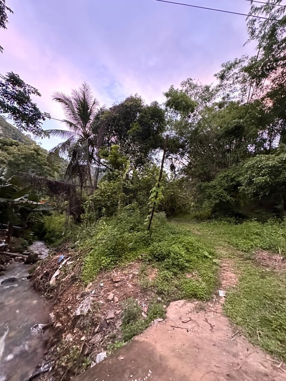 1000m2 -300m2 ONT tại Mai Châu, Hoà Bình