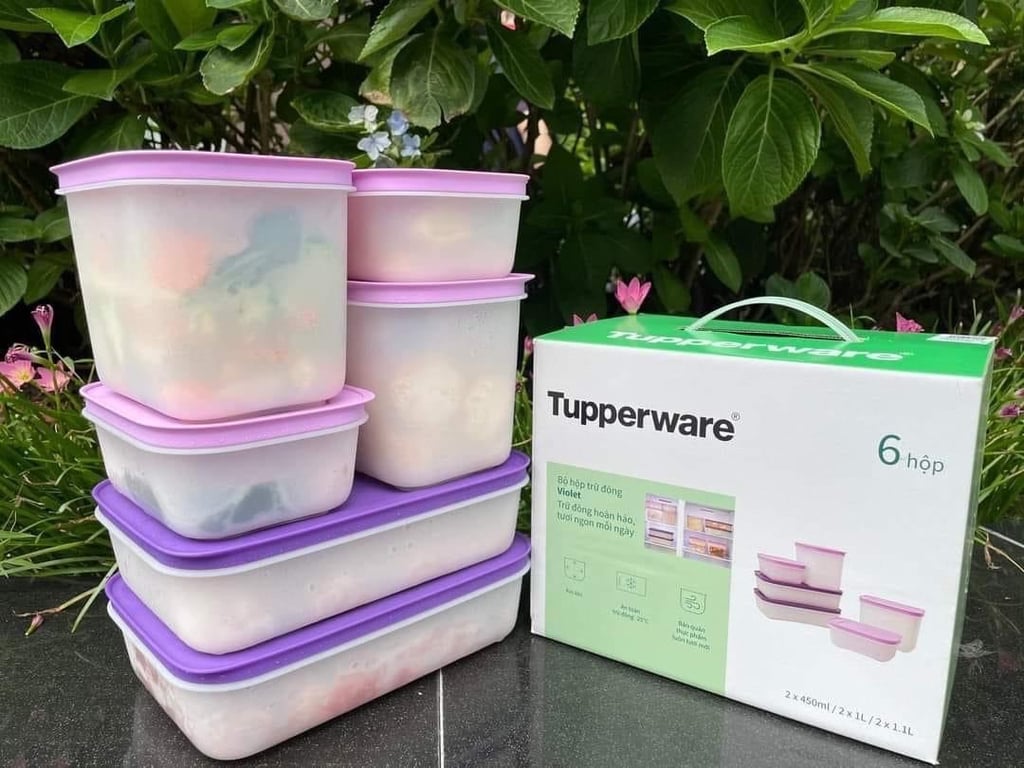 Set 6 hộp đông dẻo violet tupper