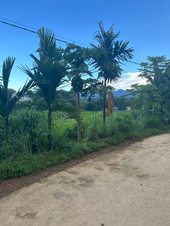 740m2 lô góc 2 mặt tiền có 200m2 ODT tại thị trấn Mãn Đức - Hoà Bình